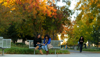 students on campus