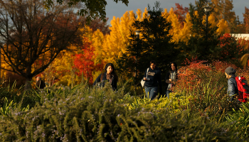 students on campus