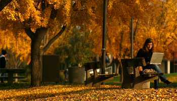 student sitting on a bench