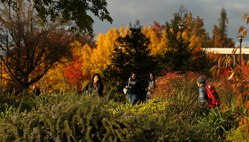 students on campus