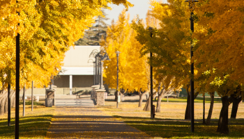 campus in autumn