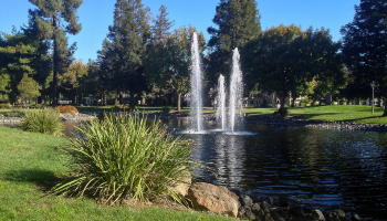 Bizzini Hall lakeside 