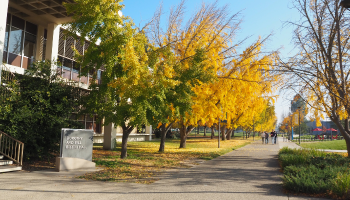 Bizzini Hall 
