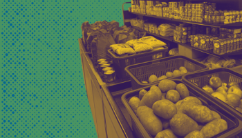 Food on shelves on green background