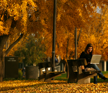 students on laptop