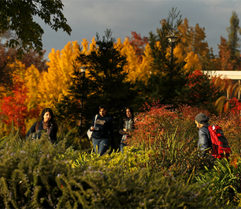 students on campus