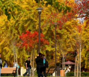 campus in autumn