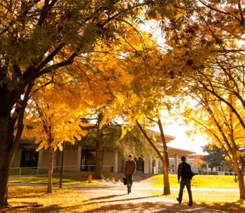 campus in autumn