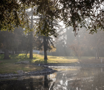 December morning on campus