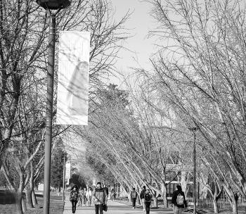 spring 2023 students on campus