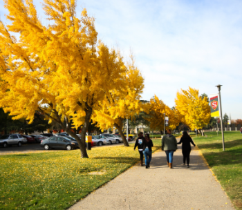 Three students walking on the walkway beside the Vasche Library.