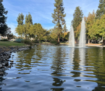 Lakeside view of the pond south of Bizzini Hall at Stan State.