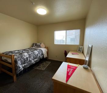 a single bedroom with desk and dresser