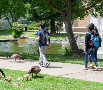 Students on campus. 