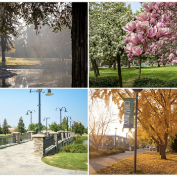 four seasons on campus