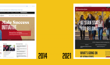 Graphic illustration of website