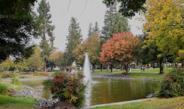 Village Lake