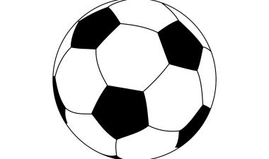 picture of asoccer ball