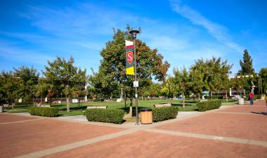 University Quad