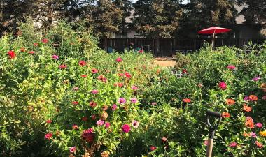 Turlock Community Garden