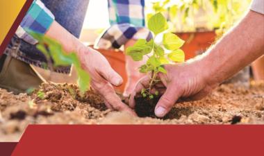 2020 leads promotion image