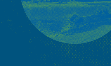 campus with blue overlay