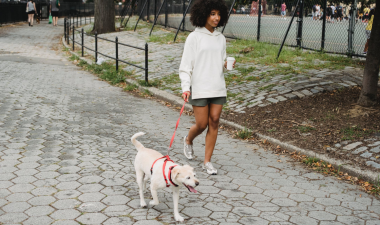 girl walking a dog