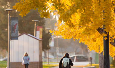 Exterior campus shot with fall colors