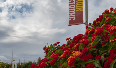 Scenic outdoor shot with Warrior Strong banner in the background.