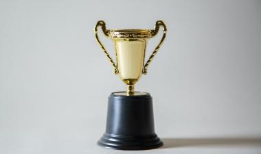 A picture of an award