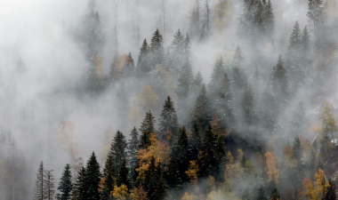 françois raffoul thinking the event