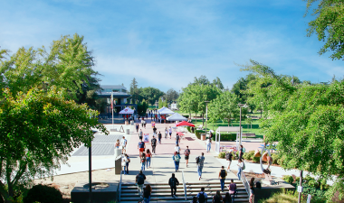 Students in the Quad