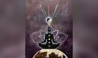 AAPI Interactive Event Graphic