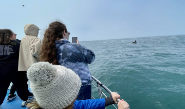 Stan State students on a boat watch orca whales swimming nearby.