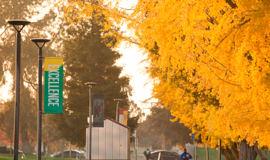 Trees displaying fall colors at Stanislaus State