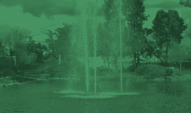 Exterior image of Stanislaus State featuring trees and a water feature.