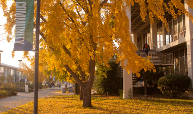 Exterior campus shot with fall colors and a banner that reads "Community."