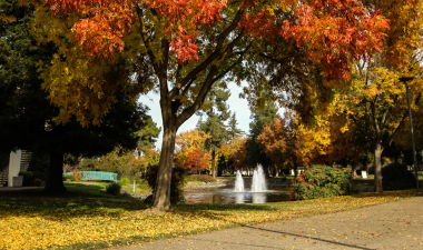 Village Lake and Bizzini Hall