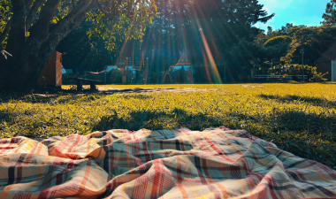 a park setting with a blanket on the grass and trees in the background