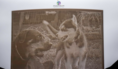A 3D printed lithophane of two dogs.