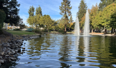 Bizzini Hall's Lakeside