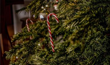 Candy Cane
