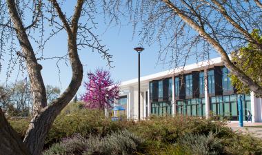 Vasche Library in the spring time with trees getting ready to bloom.