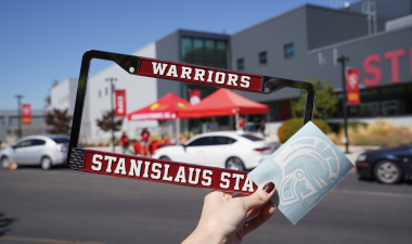 License Plate and Decal