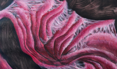 pink fingers are covered in white fibrous material