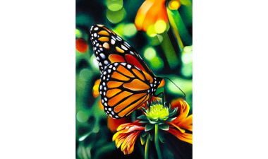 Art: &quot;In Full Bloom&quot;, butterfly on plant, colored pencil, Carlos Rodriguez Diaz