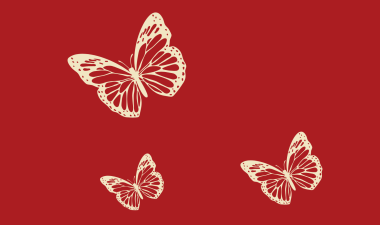 3 Butterfly illustrations