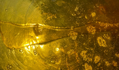 Post Human Blueprint, Gelatin, Polyester Thread, and acrylic, 2025