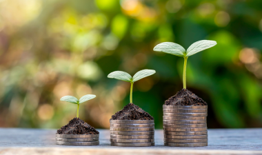 Plants growing on top of coins