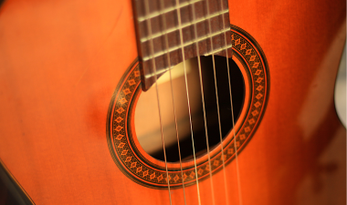 Guitar